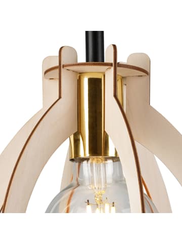 Licht-Erlebnisse Deckenlampe Ø 21 x (H)25 cm in Schwarz NaturSchwarz Natur