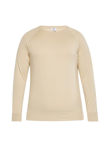 MO Pullover in BEIGE