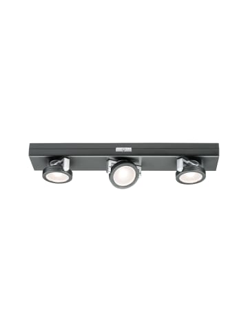 paulmann LED Unterschrankleuchte Rotate