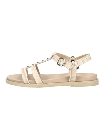 Nero Giardini Sandalen in Camel