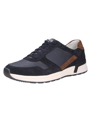 Pius Gabor Sneaker in blau