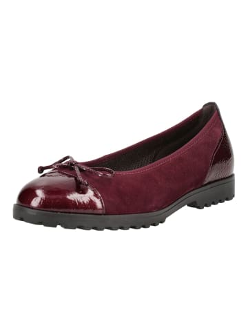 Gabor Ballerinas in Bordeaux