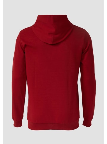 s.Oliver Sweatshirt in 36D3_burgund