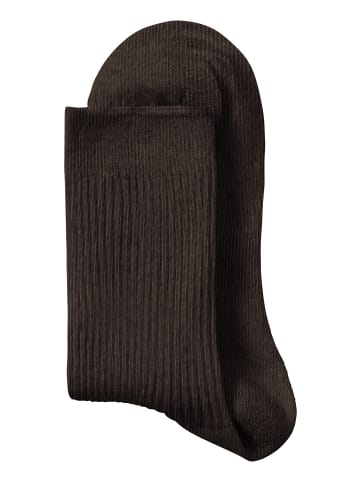 LAVANA basic Basicsocken in 1x braun 2x camel meliert, 1x ecru, 1x weiß