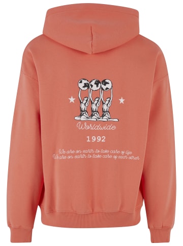 2Y Studios Sweat & Fleece - Hoody in orange