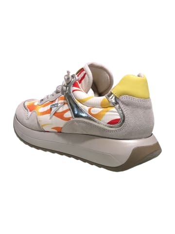 Cetti Sneaker Low in Grau