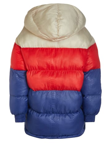 Champion Winterjacke für Damen in uni
