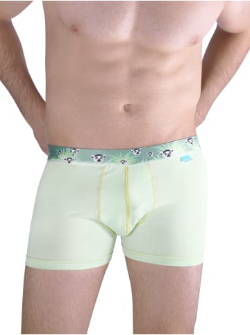 Unabux Boxer Briefs Motiv Mix in HAWK HEAD