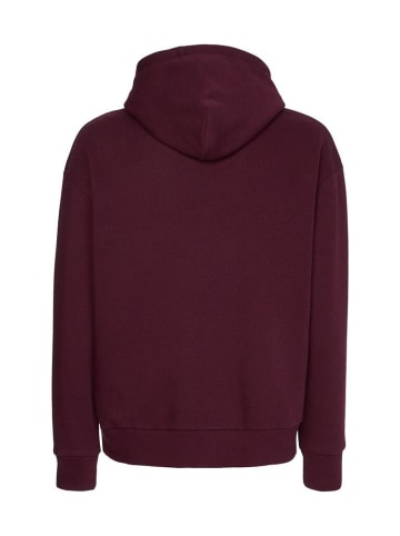Calvin Klein Sweatshirt in passion plum