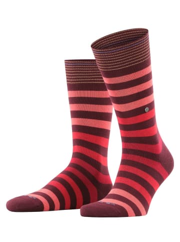 Burlington Socken 3er Pack in Bordeaux/Rot