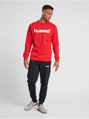 Hummel Sweatshirt Raglanärmel Hmlgo Herren in TRUE RED