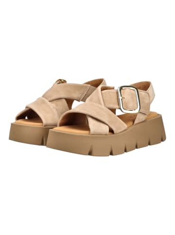 Gabor Sandalen in Braun
