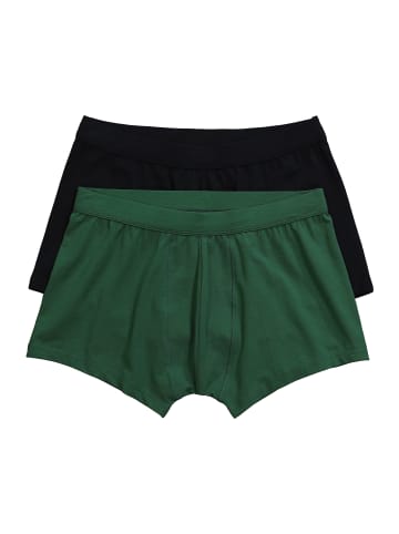JP1880 Pants in trübes grün
