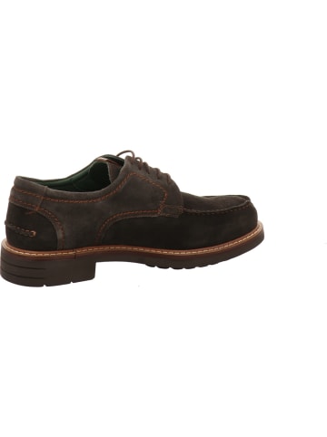 Galizio Torresi Schnürschuh in braun