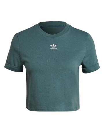 adidas adidas Cropped T-Shirts in hazy emerald