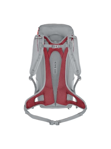 Salewa Trekkingrucksack in grau