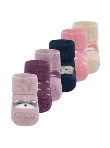 ewers 6er-Set Newborn Socken 6er Pack Katze in 001-002