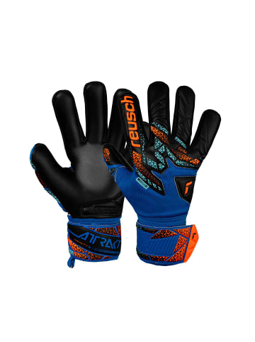 Reusch Torwarthandschuhe Attrakt Infinity NC Junior in 4468 elect blu/shock orag/blck