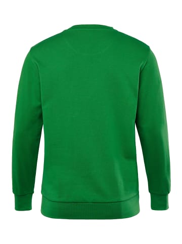 Men Plus Sweatshirt in hellgrün