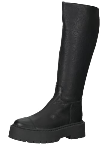 Steve Madden Stiefel in Schwarz