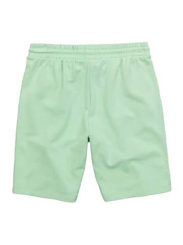 Men Plus Bermuda in hellmint