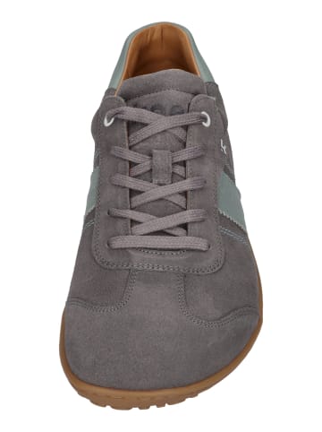 KOEL Sneaker Low ILO SUEDE 3.0 in grau