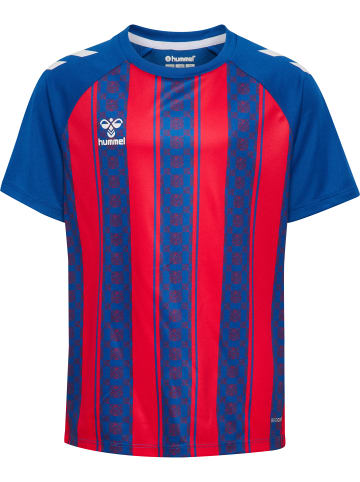 Hummel T-Shirt Raglanärmel Hmlmatch Kinder in TRUE BLUE/TRUE RED