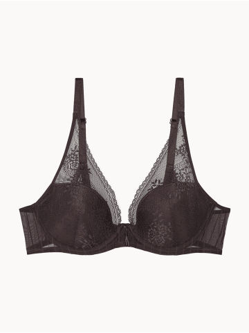 Passionata Plunge Bra Wired Padded in Dark Chocolate