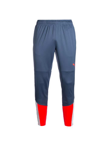 Puma Trainingshose IndividualCUP in blau