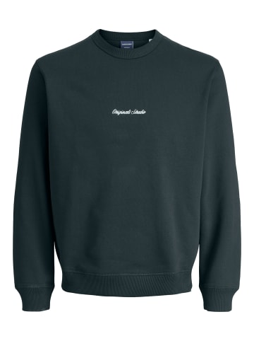 JACK & JONES Junior Sweatshirt JORNORREBRO EMB SWEAT CREW JNR in forest river