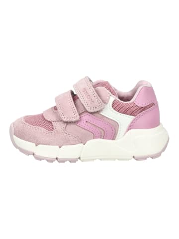 Geox Sneaker in Rose