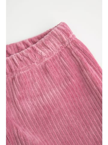 Coccodrillo Cordhosen mit langen Beinen in gedämpftes Rosa