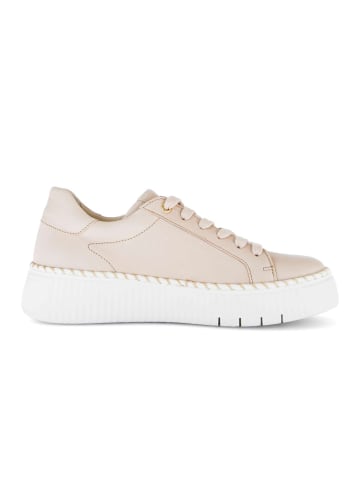 Gabor Sneaker low in rosa
