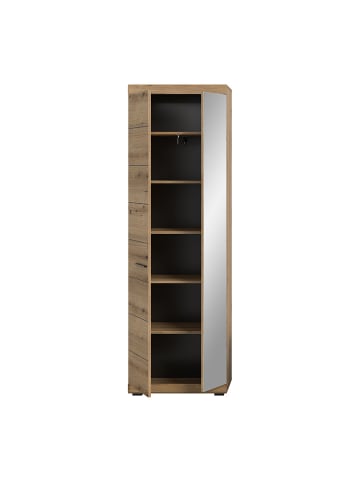 ebuy24 Kleiderschrank Scout Eiche 62 x 37 cm