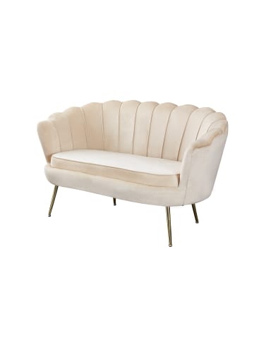 SalesFever Muschelsofa 2-Sitzer elegant Beine Chrom goldfarben und Samtbezug in Beige