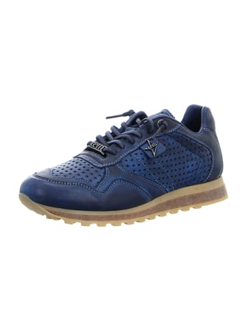 Cetti Sneaker Low in Blau