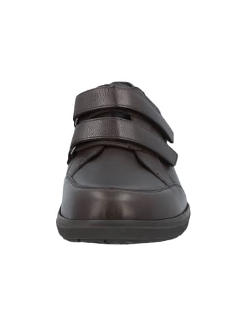 Solidus Schnürschuhe Hardy SOFTCALF/SPORTFLEX dark brown in Braun