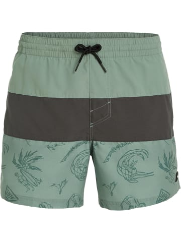 O`Neill Badeshorts Mix & Match in green vintage surfer