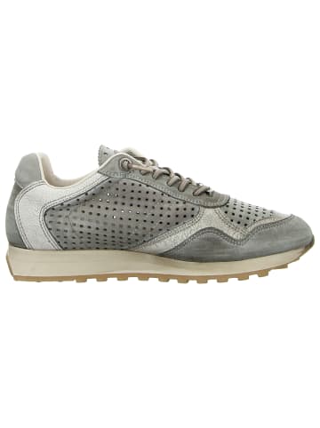 Cetti Sneaker Low in grün