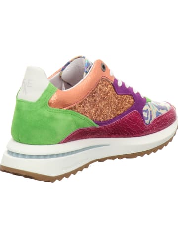 Floris van Bommel Sneaker Low in bunt