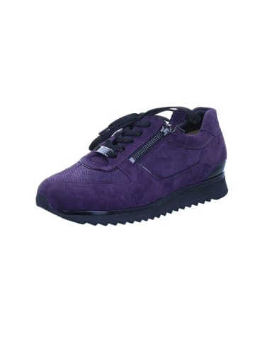 HASSIA Schnürschuhe Porto in plum/schwarz