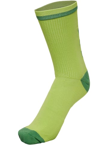 Hummel Low Socken Elite Indoor Multisport Erwachsene in DARK CITRON/MYRTLE