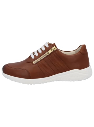 Solidus Sneaker Low in braun