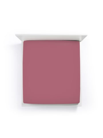 Formesse Spannbettlaken Bella Donna Jersey in Vintage Rose