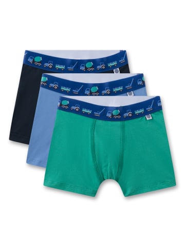 Sanetta Boxer in Grün