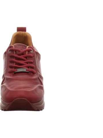 CARMELA Sneaker in rot