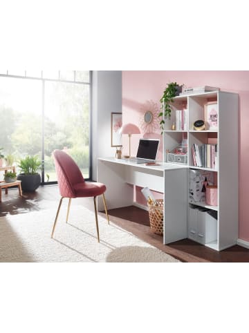 FineBuy Schreibtisch in Weiß / Spanplatte / 170x59x144