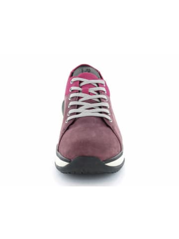 Joya Sneaker in lila