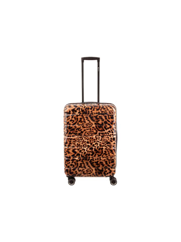 Franky PC13LEO-65DF Spinner Dehnfalte in Leopard