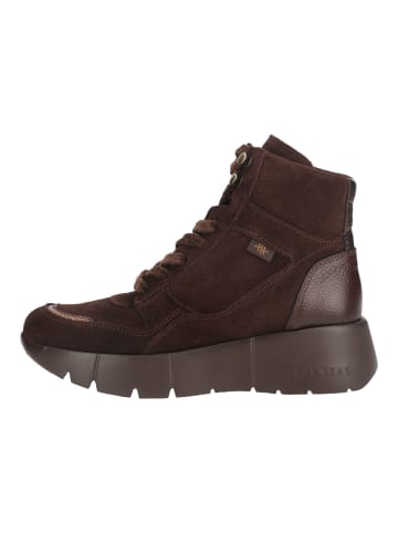 Hispanitas Stiefelette MONTANA-6 Dunkelbraun